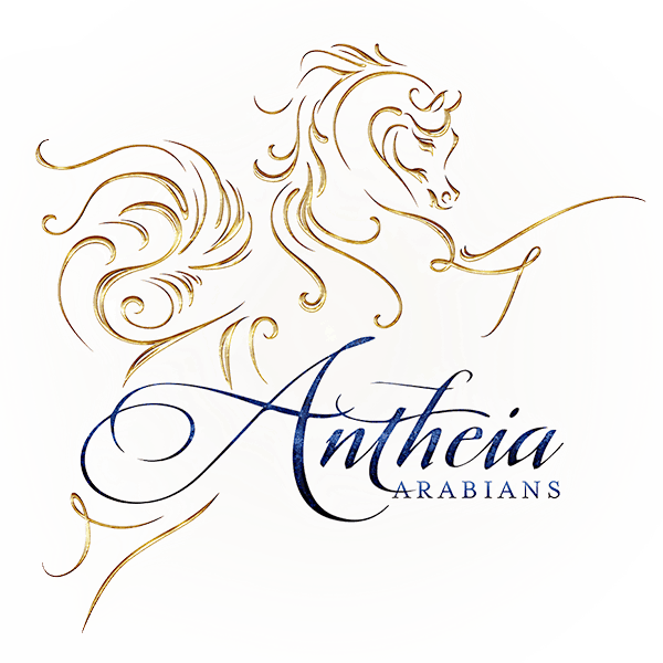 site_icon_antheia site_icon_antheia